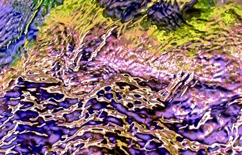 AP 167C1